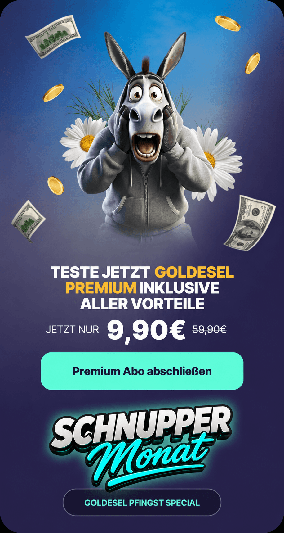 Pfingst SUPERDEAL